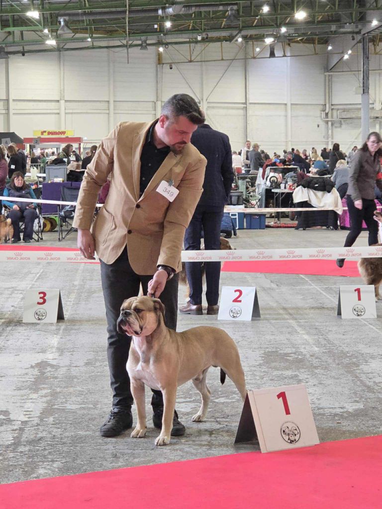 Us marchal Des Dieux De L'arène